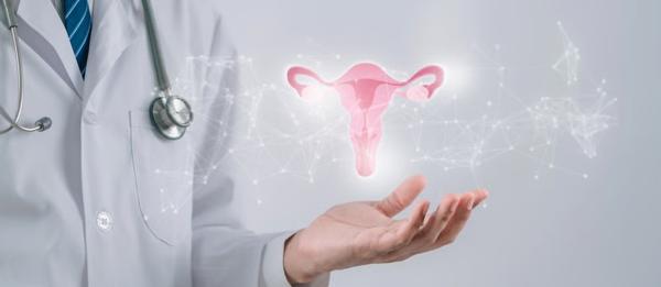 Everything You Need to Know About Vaginal Rejuvenation: Indications, Treatment Options, and Risks