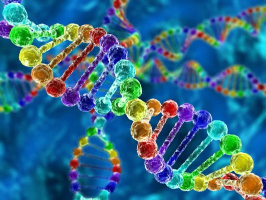Maternal and child genetic testing